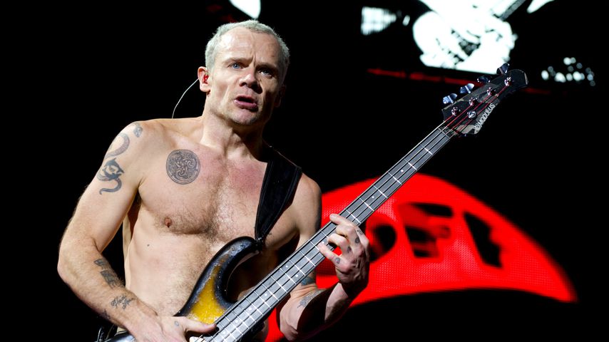Flea