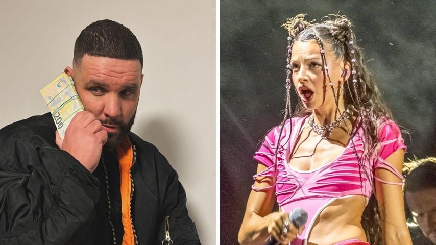 Fler erntet Shitstorm nach derber Nina-Chuba-Anmache