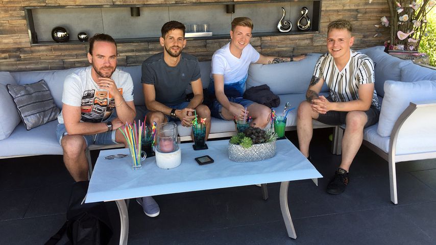 "Schwiegertochter gesucht"-Kandidaten: Florian, Daniel, Peter und Nico