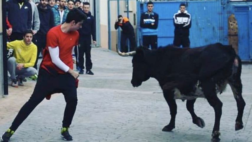 Tödlich verletzt: 19-jähriger Spanier von Stier aufgespießt!