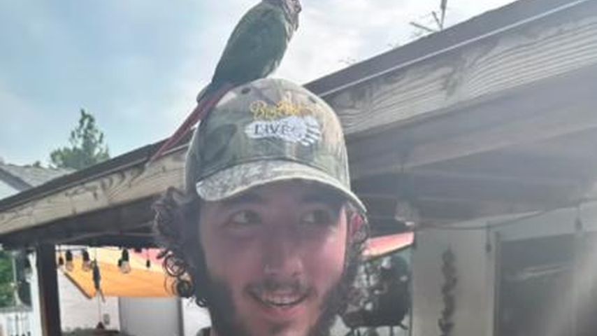 Frankie Jonas im September 2023