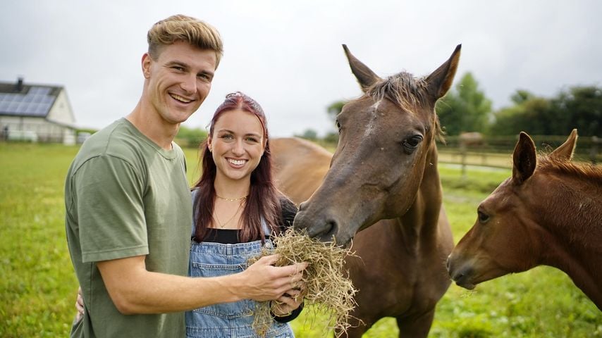 "Schön": "Bauer sucht Frau"-Friedrich und Laura küssen sich