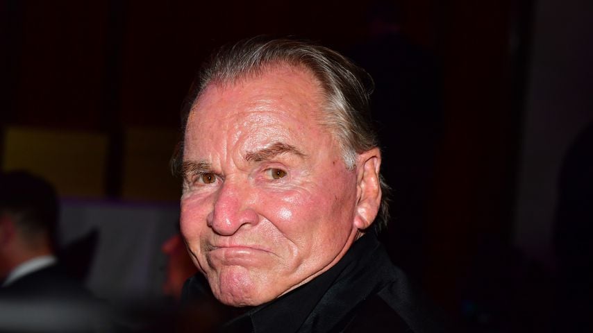 Fritz Wepper, Schauspieler