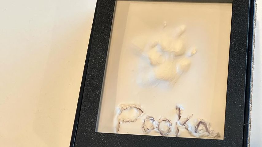 Pfotenabdruck von Lizzos Hund Pooka