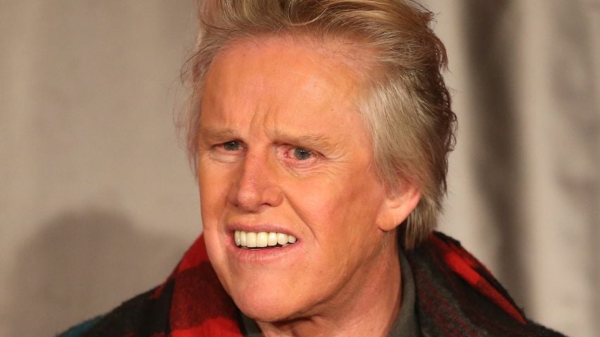 Gary Busey, Schauspieler