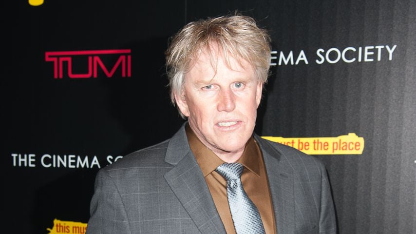 Missbrauchsvorwürfe von Fans: Gary Busey streitet alles ab!