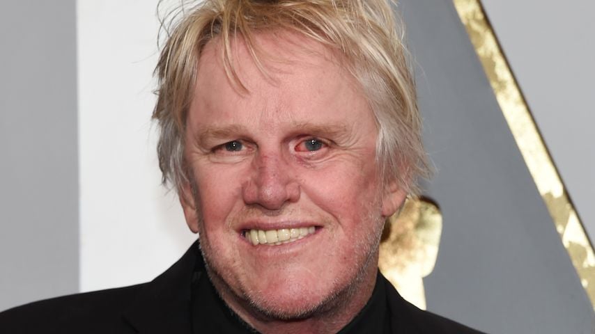 Gary Busey, Schauspieler