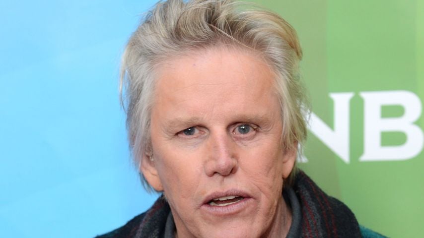 Gary Busey gesteht nun sexuelle Belästigung zweier Frauen