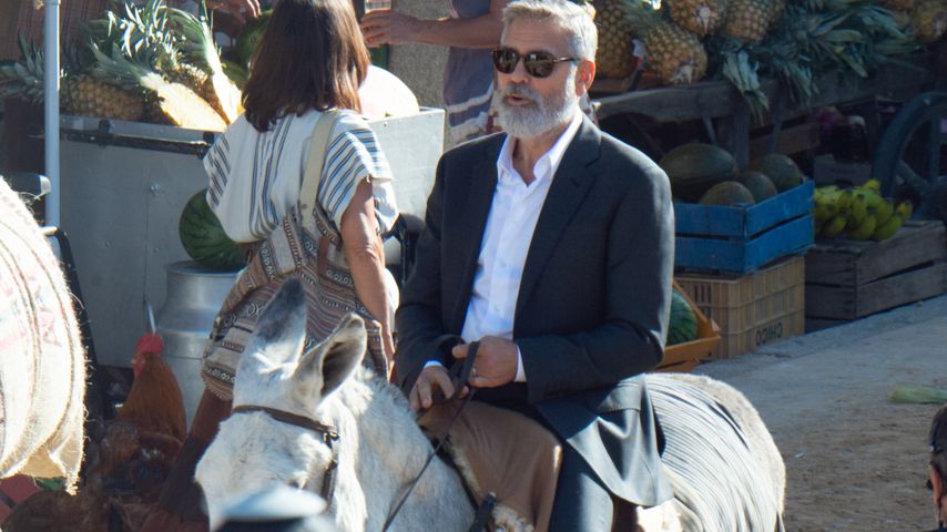 Für Werbe-Spot: George Clooney auf einem Esel unterwegs!