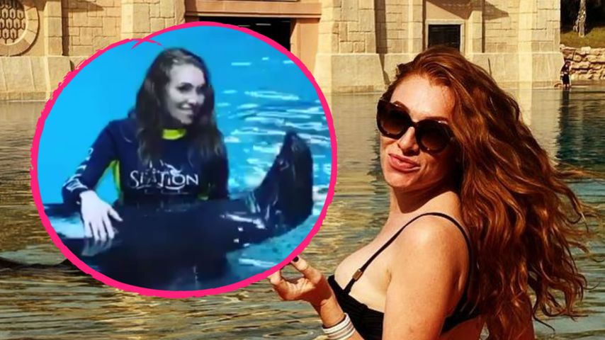 Tierquälerei? Georgina bekommt Shitstorm wegen Seelöwen!
