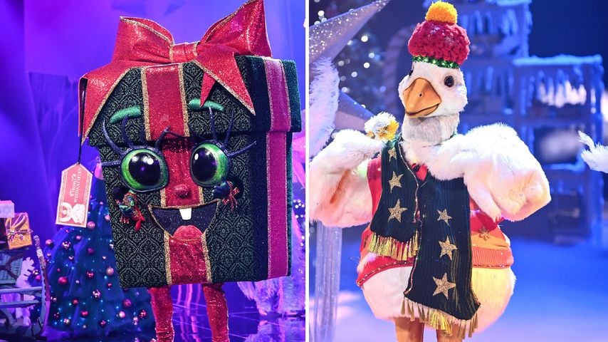 Collage: Geschenk und Gans bei der "The Masked Singer"-Weihnachtsshow