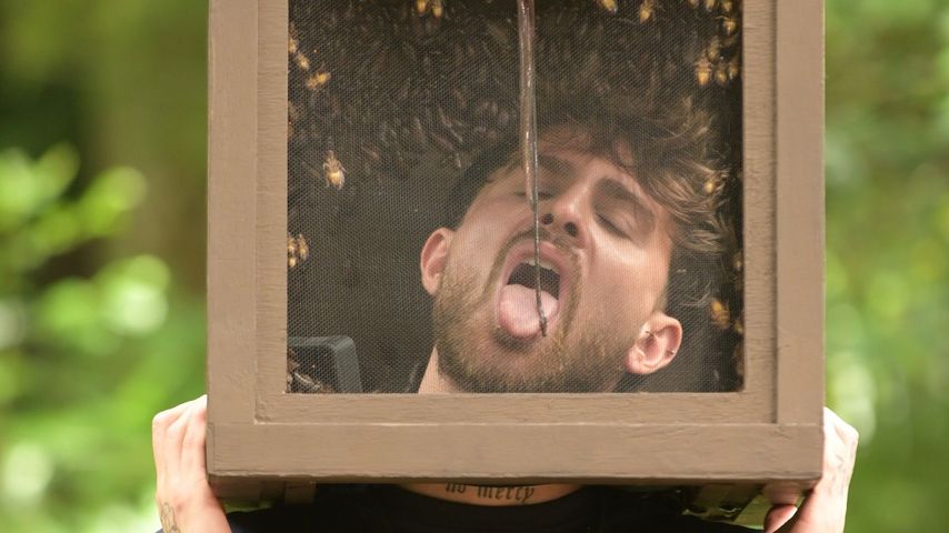 Gigi Birofio im Dschungelcamp, 2023