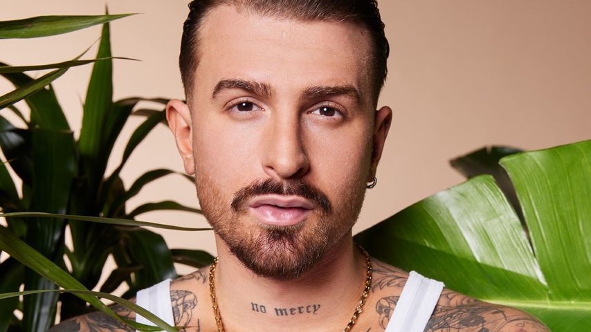 Cast für das Allstars-Dschungelcamp ist offiziell bestätigt!