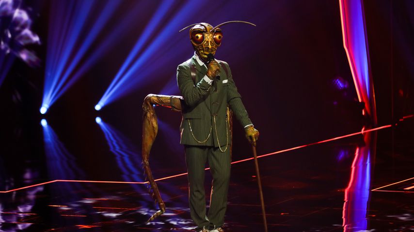 Gil Ofarim als der Grashüpfer im "The Masked Singer"-Finale
