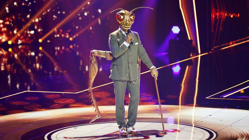 Erste Hinweise auf die neuen "The Masked Singer"-Kostüme!