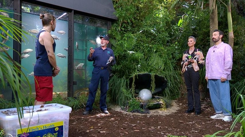 Gil Ofarim, Dr. Bob, Sonja Zietlow und Jan Köppen vor der Dschungelprüfung, 2026