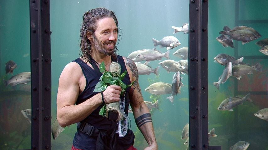 Gil Ofarim, Dschungelcamp 2026