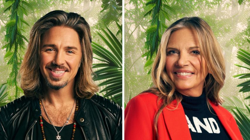 Wütend auf Gil: Wird Nicole ihn im Dschungel konfrontieren?