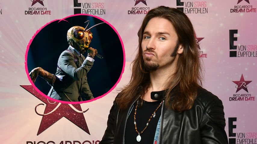 Ist er der "Masked Singer"-Grashüpfer? Jetzt spricht Gil!