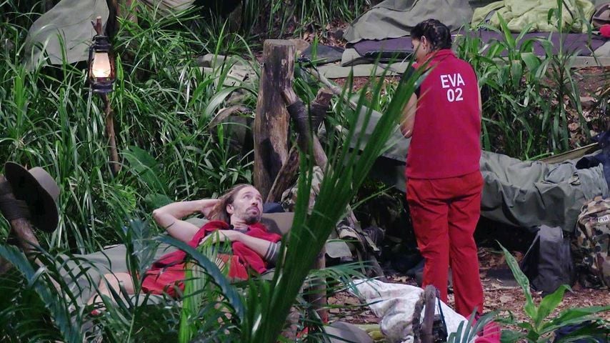 Eva konfrontiert Gil im Dschungelcamp mit Davidstern-Skandal