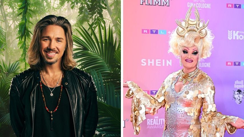 Dschungelkönig Gil: Olivia Jones wünscht sich anderen Sieger