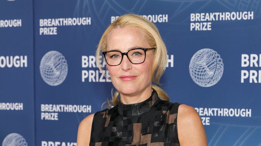 Gillian Anderson, Schauspielerin