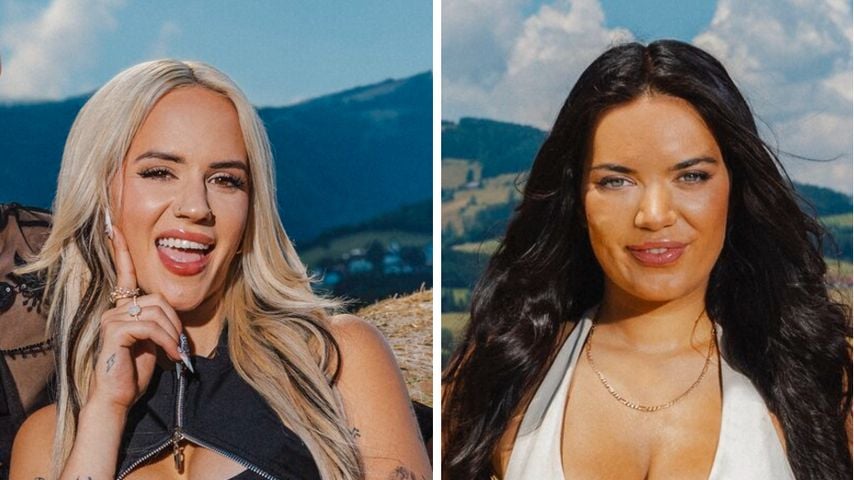 So ging es mit Forsthaus-Turteltauben Gina und Henna weiter