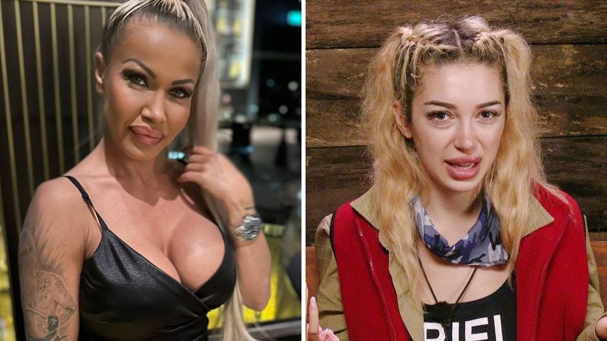 "Peinlich": Ginger Costello stichelt im Netz gegen Ariel