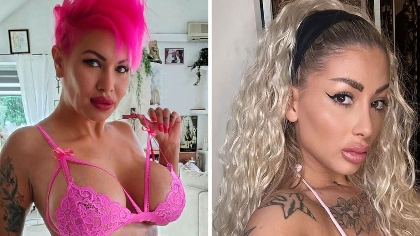 Ginger Wollersheim und Belly kämpfen bei "The Ultimate Hype"
