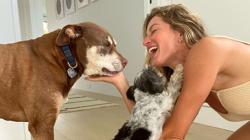Gisele Bündchen, Februar 2023