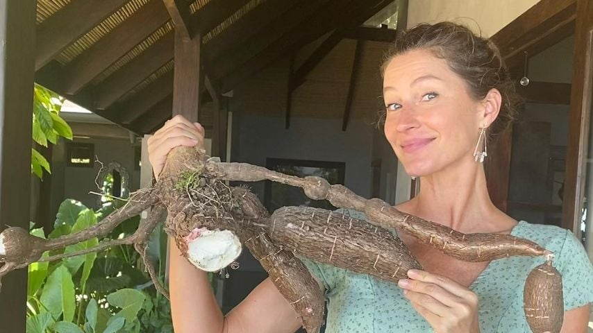 Gisele Bündchen posiert mit ihrer Yucca-Pflanze