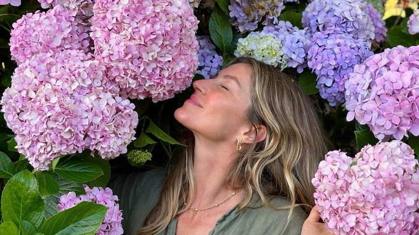 In Brasilien: So feierte Gisele Bündchen das Weihnachtsfest