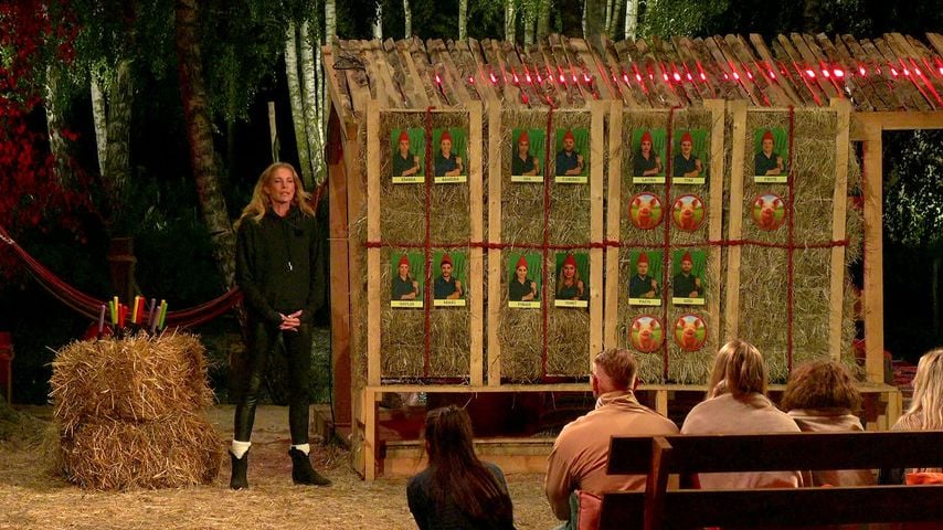 "Ist ein NPC": Dieser Promihof-Teilnehmer fliegt vorm Finale