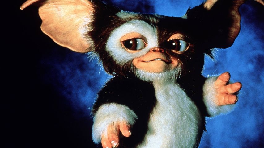 Endlich bestätigt: "Gremlins 3" hat grünes Licht bekommen