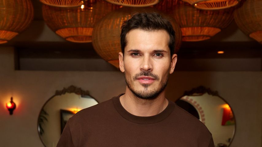 Gleb Savchenko, Profitänzer