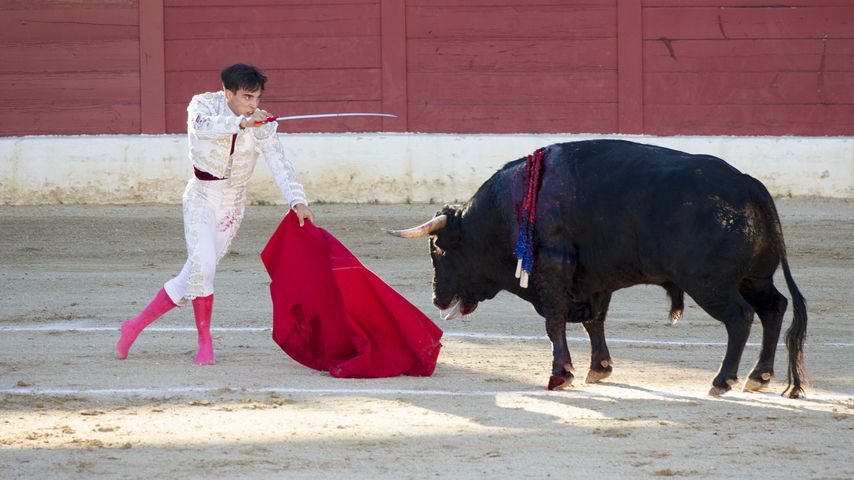 Gonzalo Caballero 2017 in Spanien
