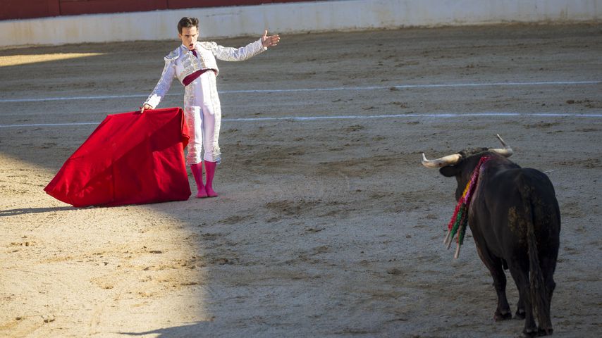 Torero Gonzalo Caballero
