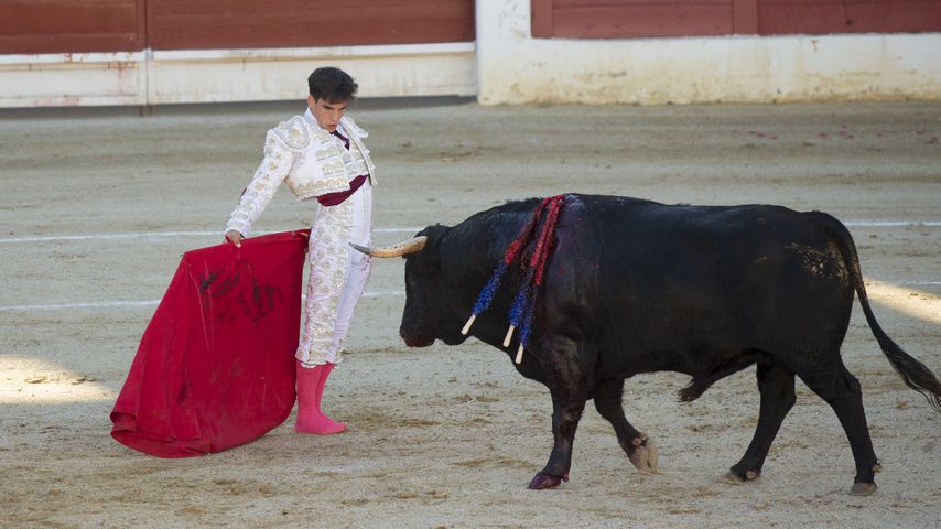 Gonzalo Caballero 2017 in Spanien