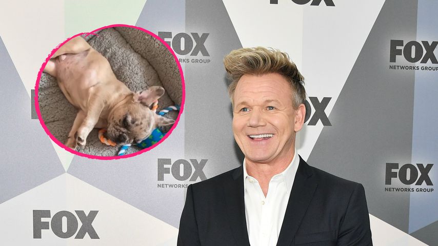 Gordon Ramsay überglücklich: Seine Familie ist gewachsen