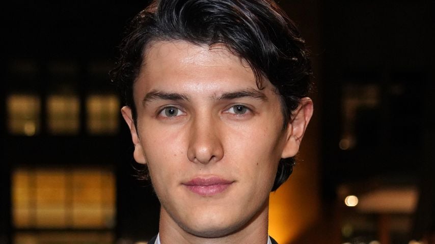 Kehrt Graf Nikolai für die große Liebe nach Dänemark zurück?