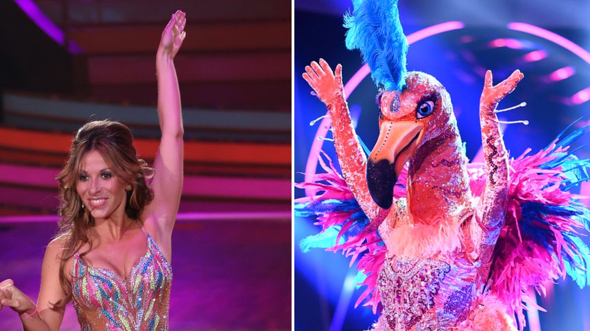 Gülcan Kamps scherzt: Ist sie "The Masked Singer"-Flamingo?