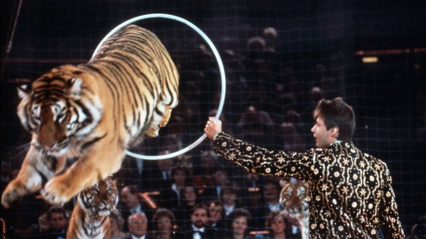 Günther Jauch bei "Stars in der Manege"