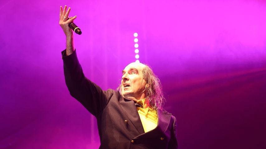 Guildo Horn, Musiker