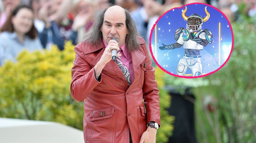 "The Masked Singer"-Stier: Passen Indizien zu Guildo Horn?