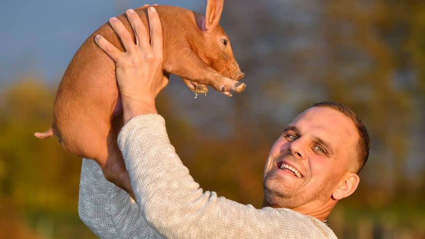 Gunther Höfler, Januar 2020