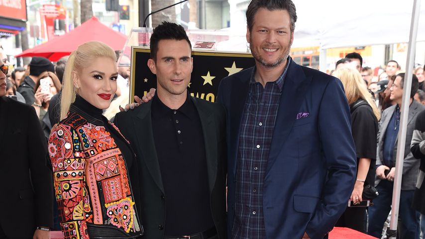 Gwen Stefani, Adam Levine und Blake Shelton auf dem Walk of Fame, 2017