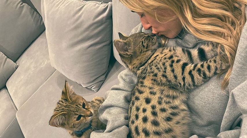 Hailey Bieber mit ihrem Hund und ihren Katzen