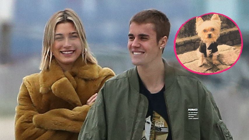 Süß: So schick zogen Hailey und Bieber Hund für Hochzeit an!