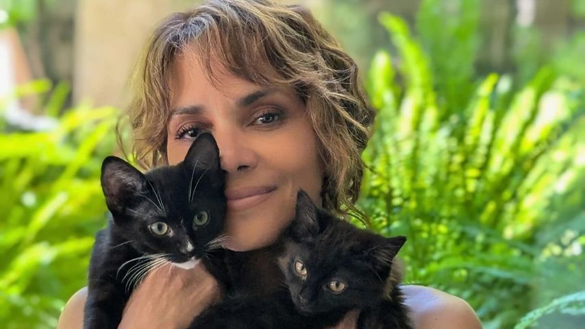 Halle Berry zeigt ihre neue Katzen im Juni 2024