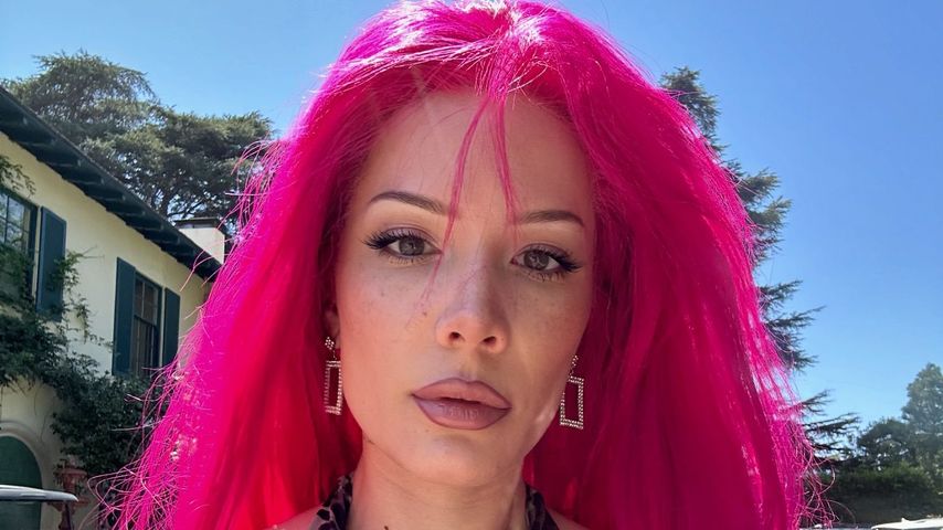 Halsey, Sängerin